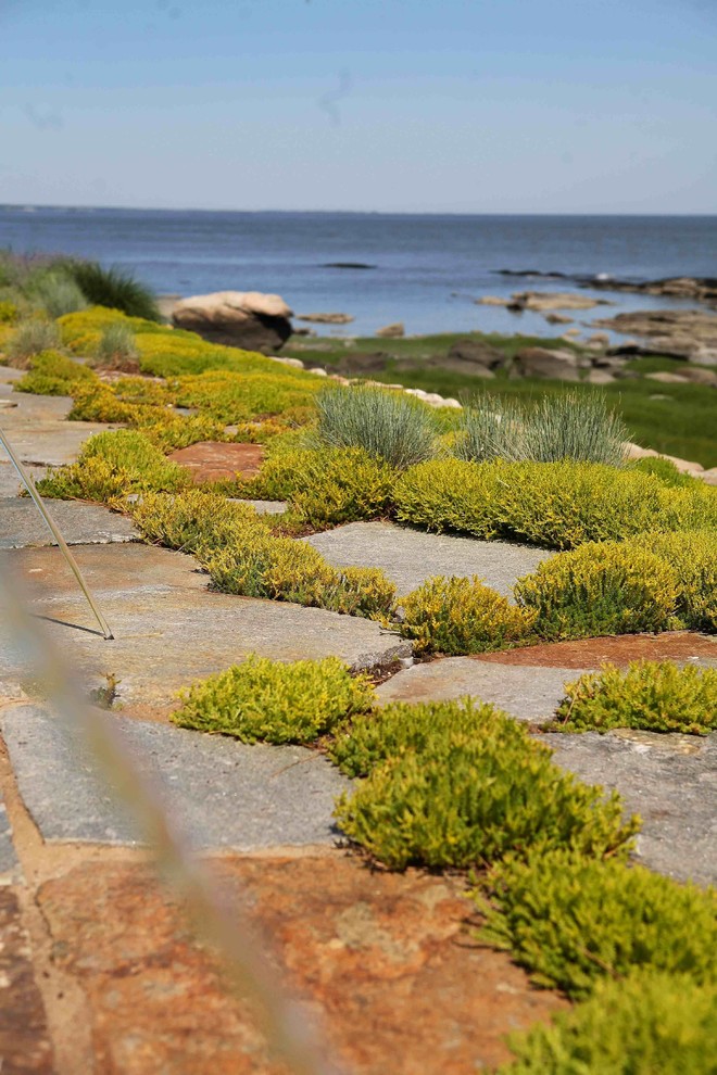 Esempio di un giardino xeriscape stile marino esposto in pieno sole in estate con pavimentazioni in pietra naturale
