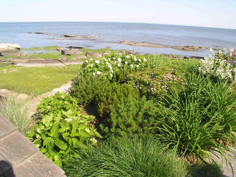 Maritimer Garten im Sommer, hinter dem Haus mit direkter Sonneneinstrahlung und Natursteinplatten in Bridgeport