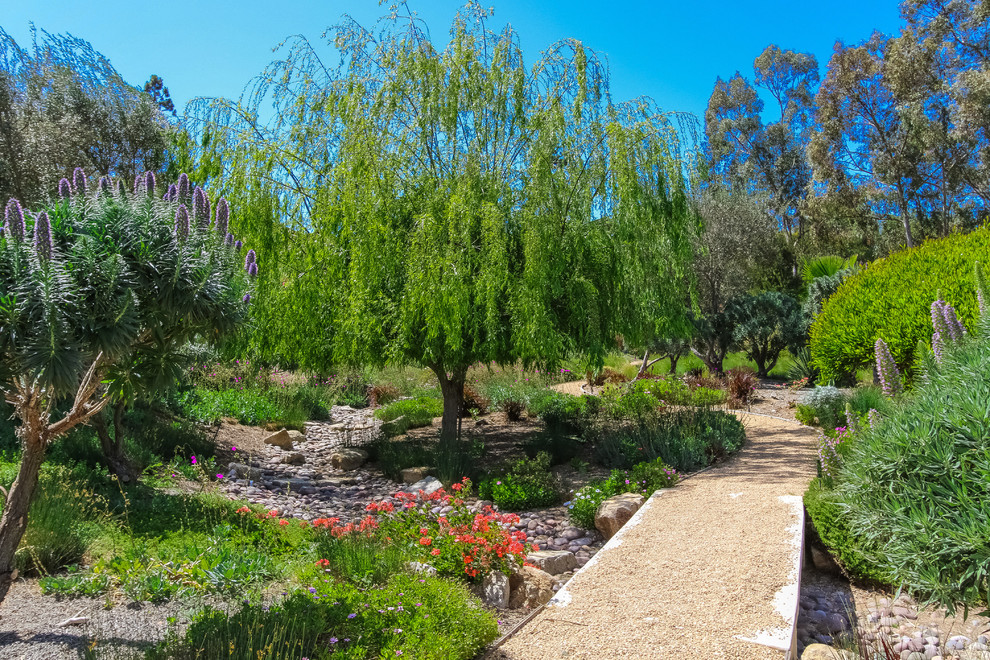 Mediterraner Garten in San Diego