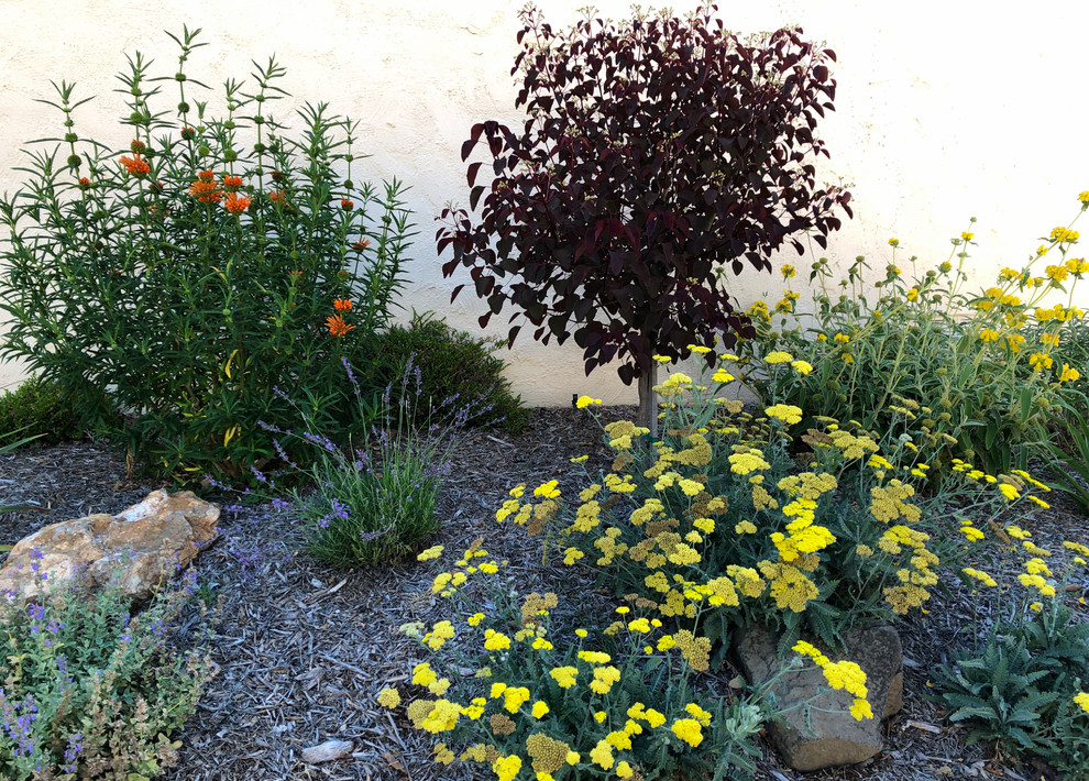 Источник вдохновения для домашнего уюта: засухоустойчивый сад на переднем дворе в средиземноморском стиле