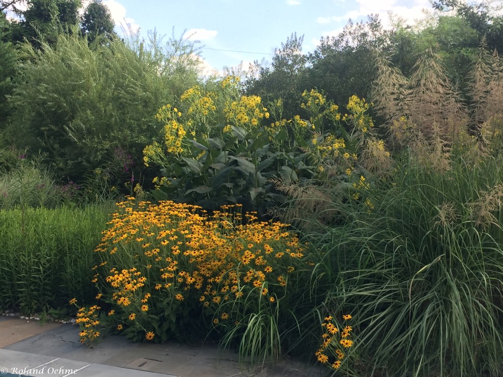 HalfAcre Garden in Towson, MD Contemporary Landscape Baltimore