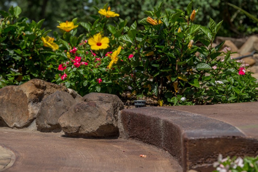 Modelo de jardín exótico grande en patio trasero con jardín de macetas, exposición reducida al sol y adoquines de piedra natural