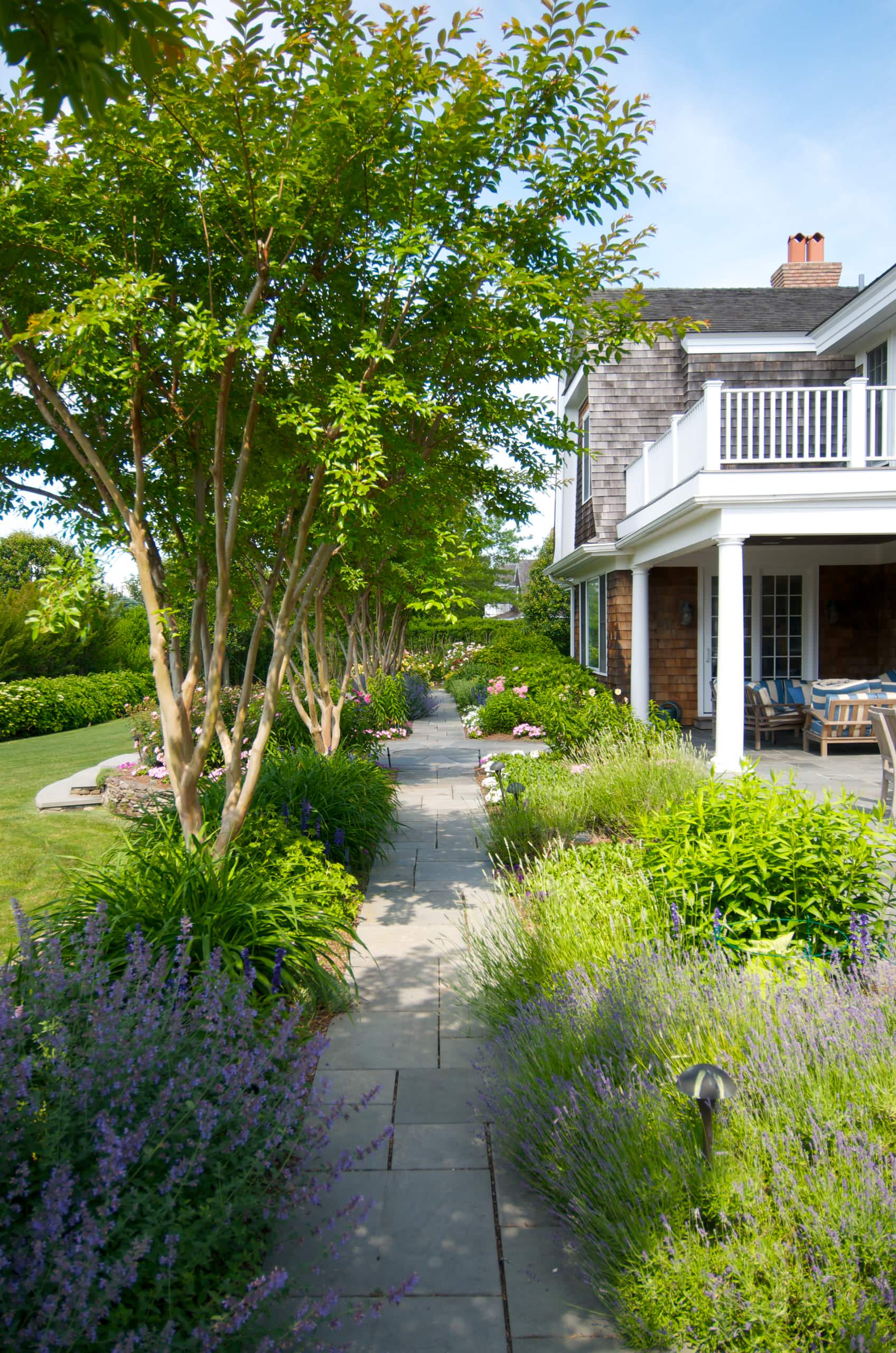 crepe myrtle landscaping