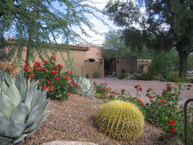 Happy Together Colorful Desert Plant Combinations American Southwest Garden Phoenix By Living Rooms Landscape Design Houzz Uk Colorful Desert Plant Combinations, Southwest Garden Plants