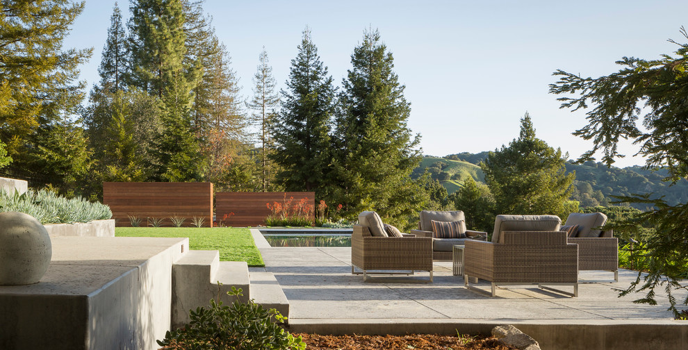 Inspiration for a contemporary back full sun garden in San Francisco with concrete paving.