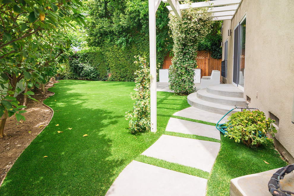 Immagine di un giardino xeriscape moderno esposto a mezz'ombra di medie dimensioni e dietro casa in estate con pavimentazioni in cemento
