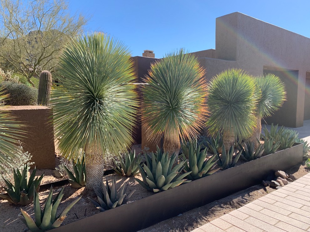 Moderner Vorgarten mit direkter Sonneneinstrahlung in Phoenix