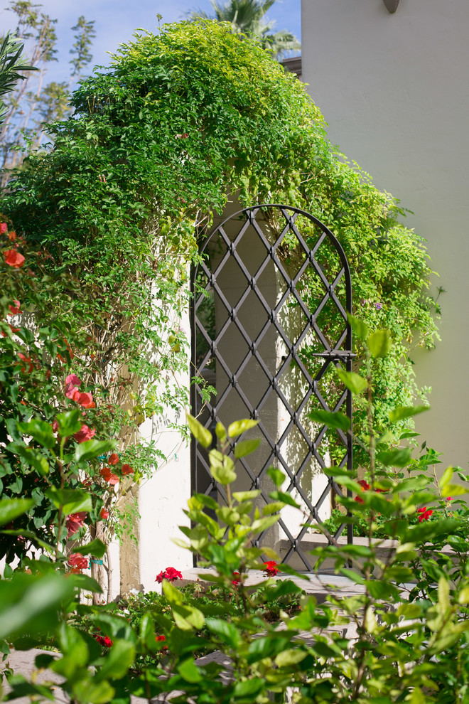 Foto di un giardino formale design esposto in pieno sole in cortile in primavera con un ingresso o sentiero
