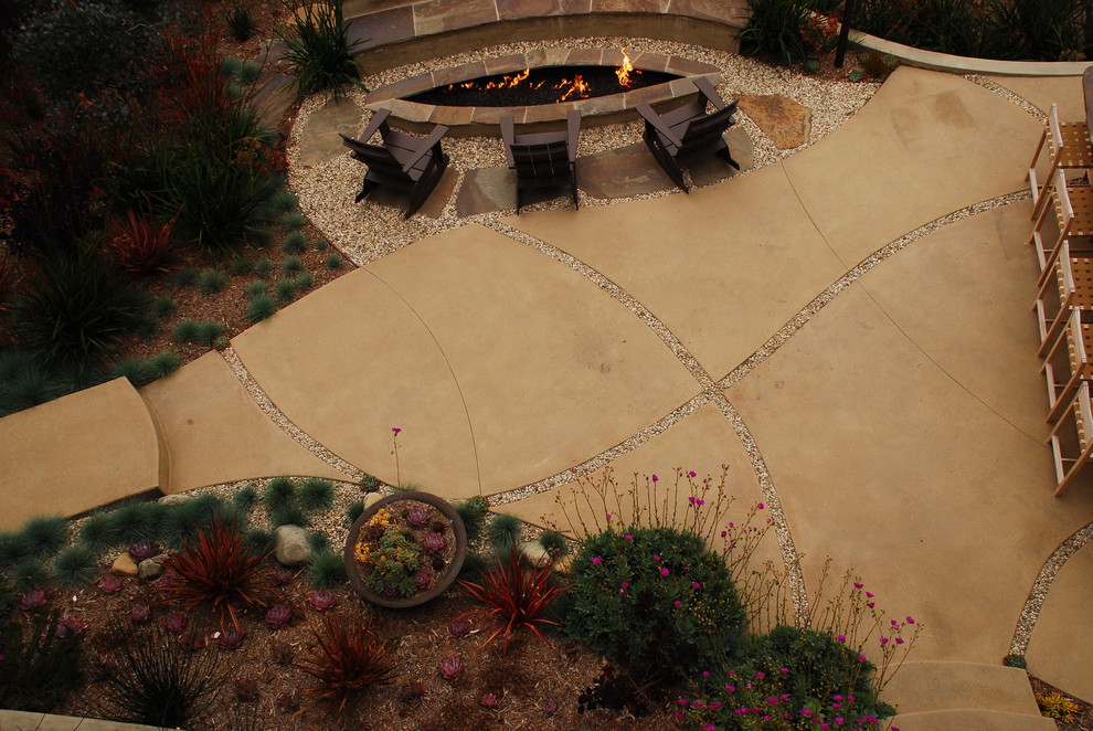 Design ideas for a contemporary garden in Los Angeles with a fire feature.