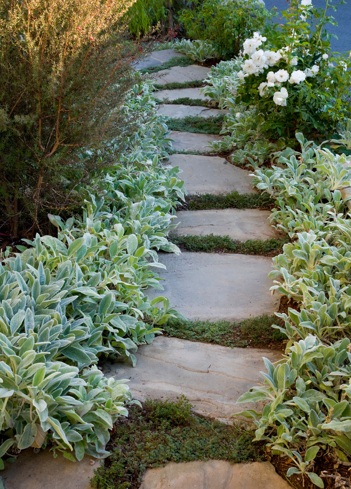 ロサンゼルスにある夏のコンテンポラリースタイルのおしゃれな庭 (傾斜地、天然石敷き) の写真