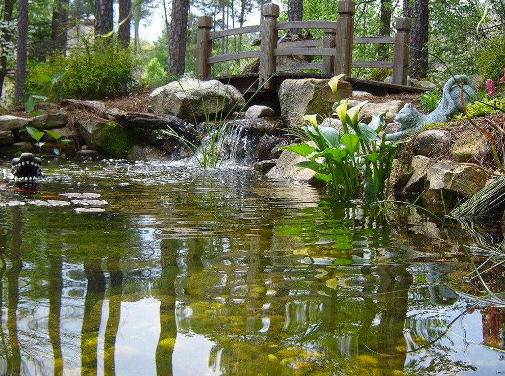 Photo of a large traditional backyard mulch pond in Atlanta.