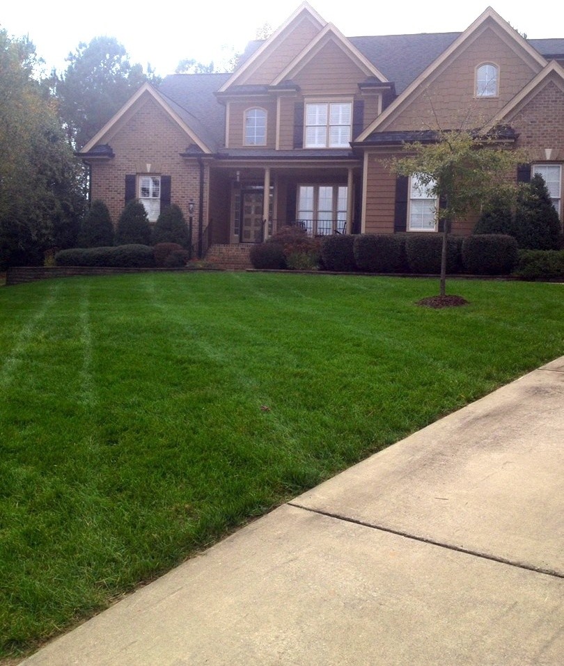 This is an example of a landscaping in Raleigh.