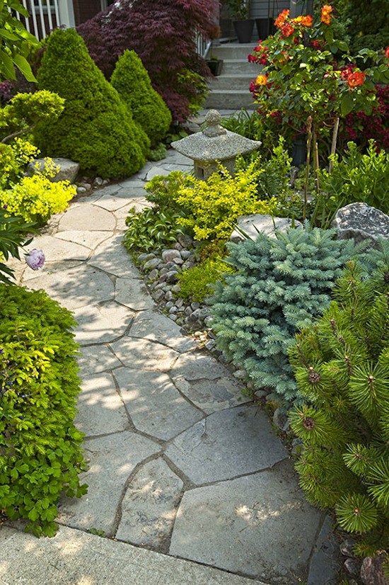 Imagen de camino de jardín clásico de tamaño medio en patio trasero con exposición parcial al sol y adoquines de piedra natural