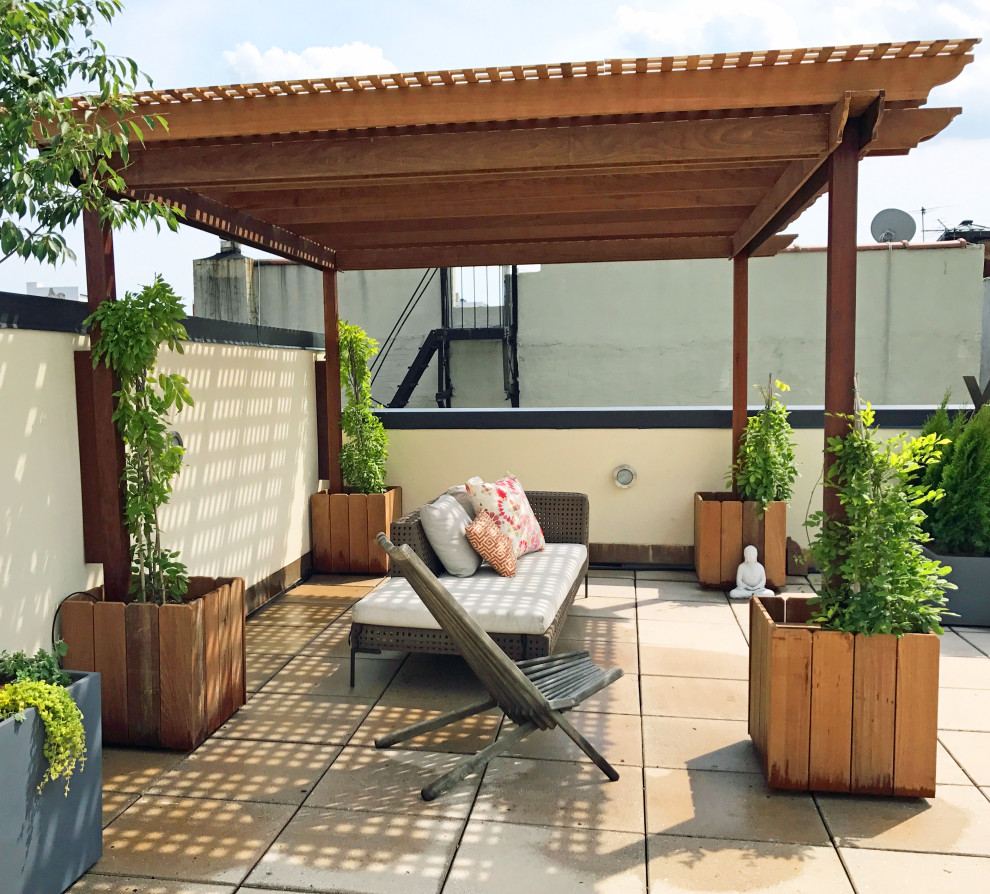 Esempio di un giardino design esposto in pieno sole sul tetto con un giardino in vaso e pavimentazioni in cemento
