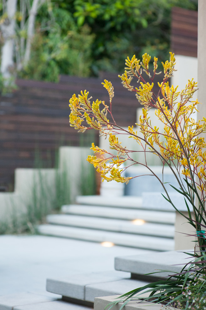 Harriman Residence Modern Landscape San Diego by Epic Landscape