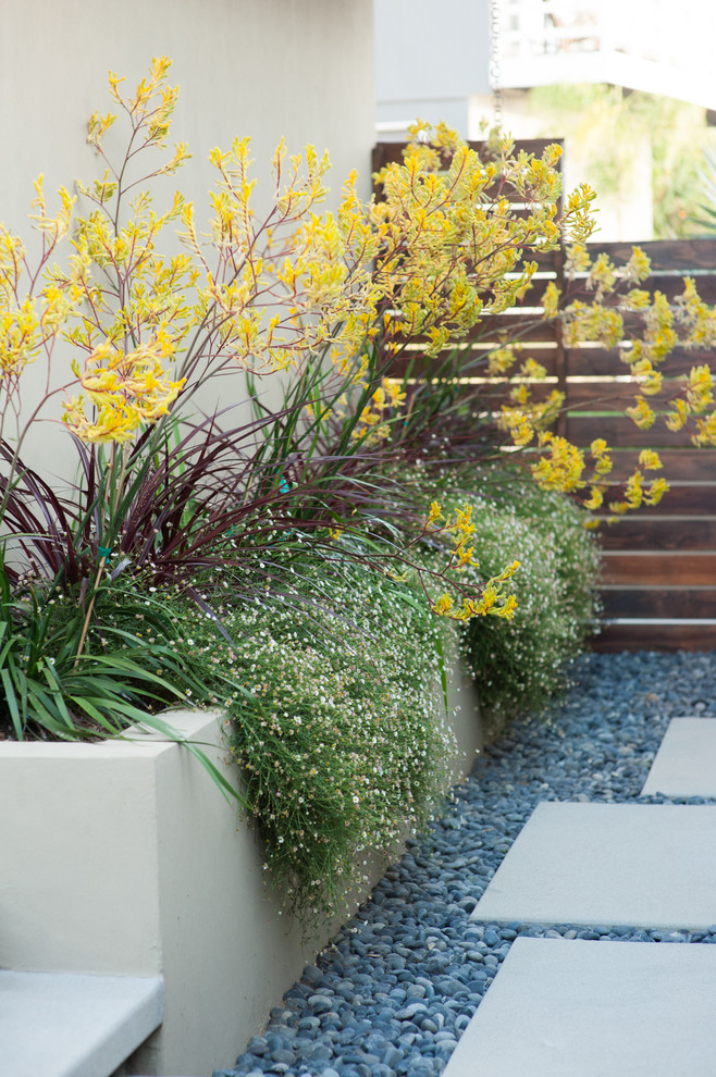 Cette image montre un grand jardin avant minimaliste avec un mur de soutènement, une exposition ensoleillée et des pavés en béton.