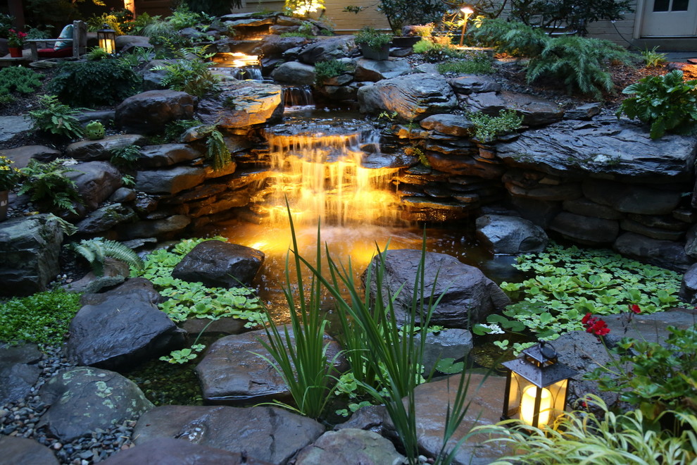 Inspiration pour un jardin arrière chalet avec un point d'eau et une exposition ombragée.