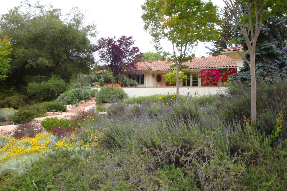 Medelhavsstil inredning av en stor trädgård i full sol framför huset, med en trädgårdsgång och naturstensplattor på våren