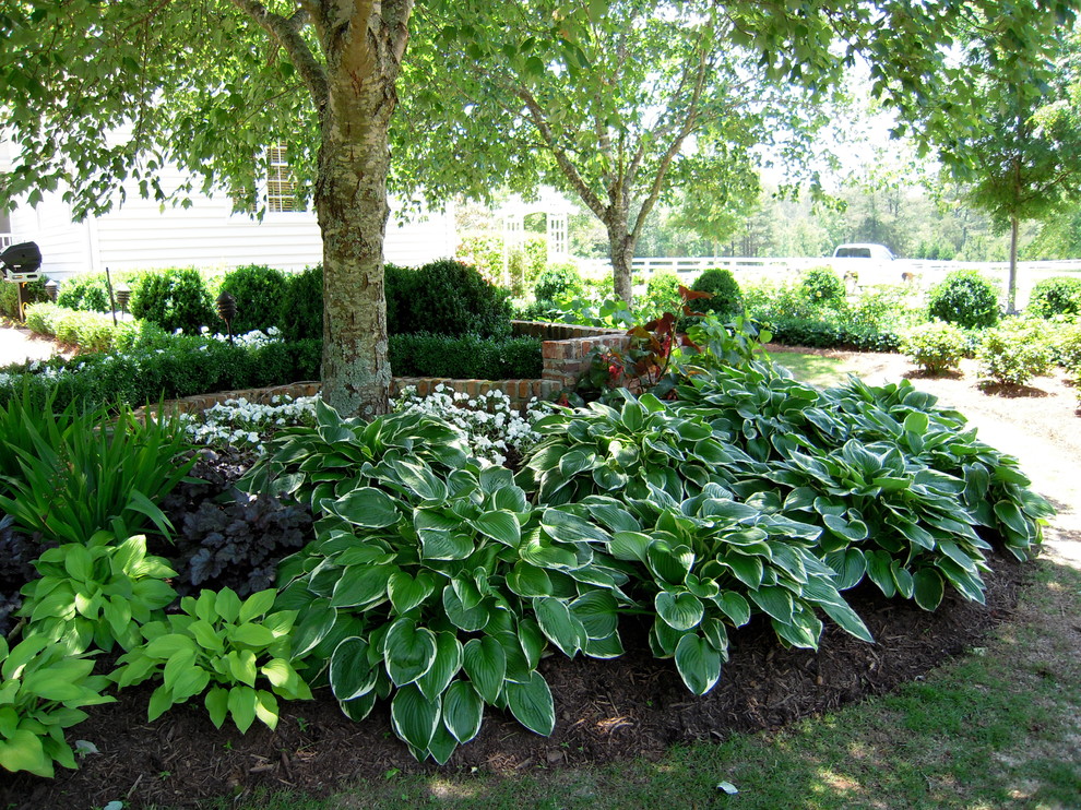 Пример оригинального дизайна: маленький солнечный, весенний регулярный сад на заднем дворе в стиле кантри с растениями в контейнерах, хорошей освещенностью и мульчированием для на участке и в саду