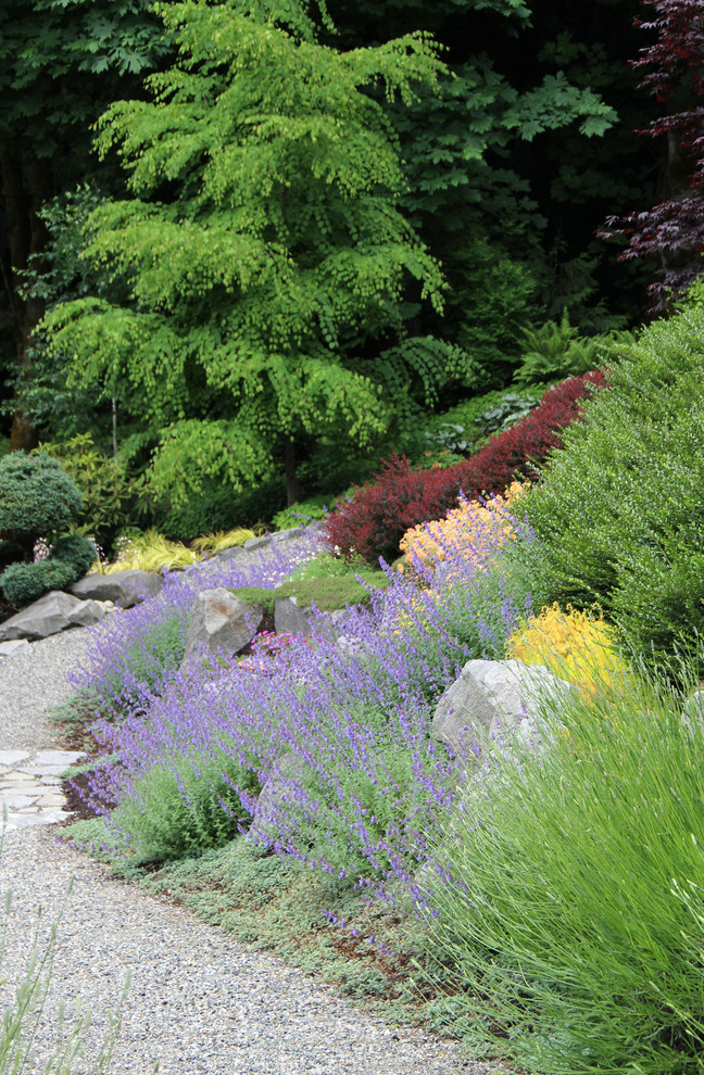 Contemporary garden in Seattle.