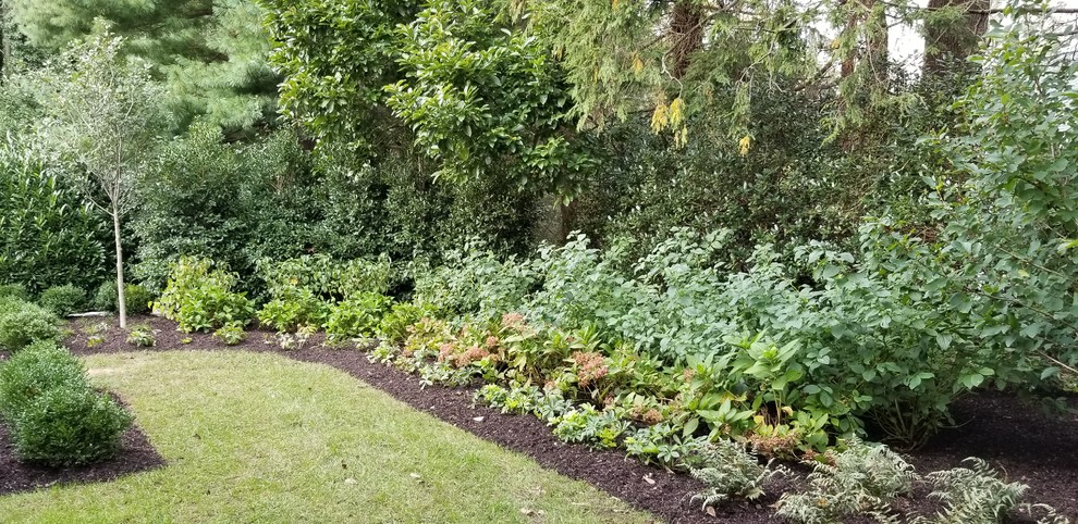 Стильный дизайн: большой регулярный сад зимой на заднем дворе в классическом стиле с полуденной тенью - последний тренд