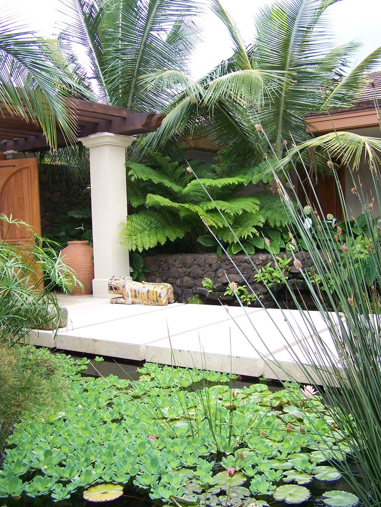 Modelo de jardín tropical de tamaño medio en patio delantero con estanque, exposición reducida al sol y adoquines de hormigón