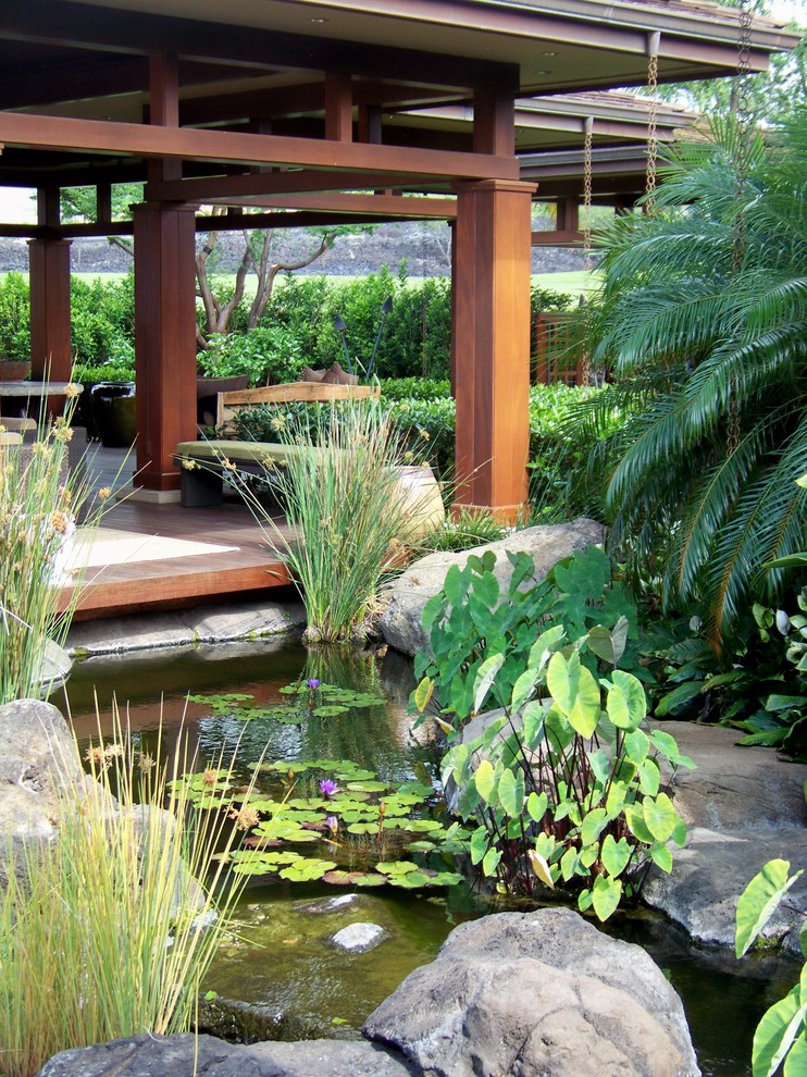 Inspiration for a world-inspired garden in Hawaii.