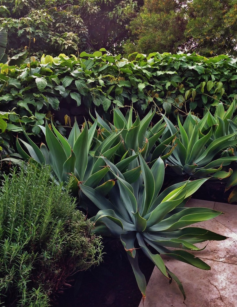 Garten in Hawaii
