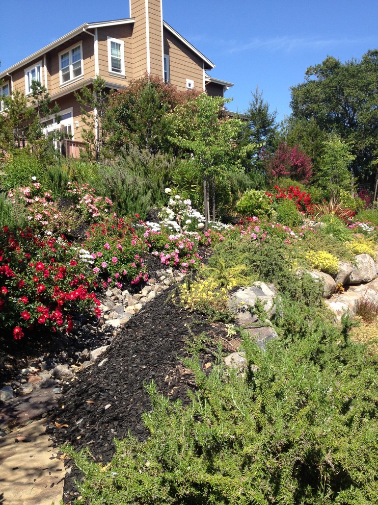 Healdsburg Haven Traditional Landscape San Francisco by