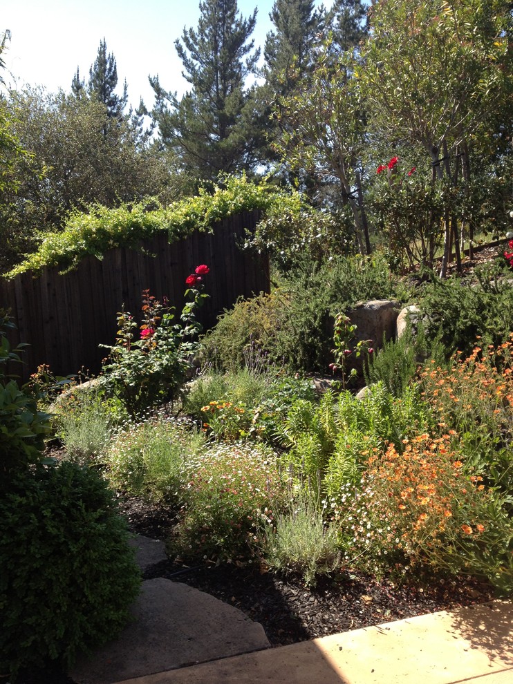 Healdsburg Haven Traditional Landscape San Francisco by