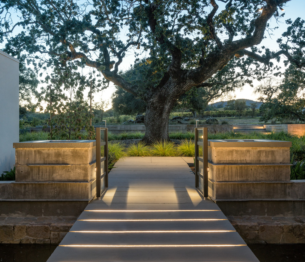 Healdsburg Modern Landscape San Francisco by Randy Thueme