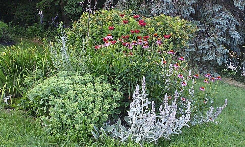 Ejemplo de jardín campestre de tamaño medio en verano en ladera con exposición total al sol