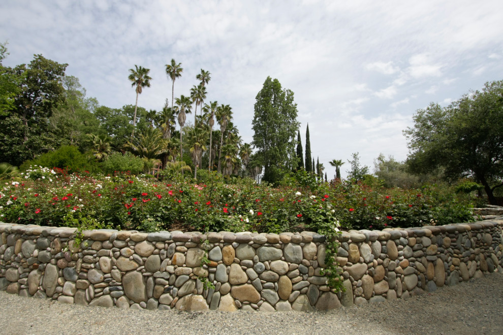 Esempio di un ampio giardino tradizionale esposto in pieno sole in primavera con un pendio, una collina o una riva e ghiaia