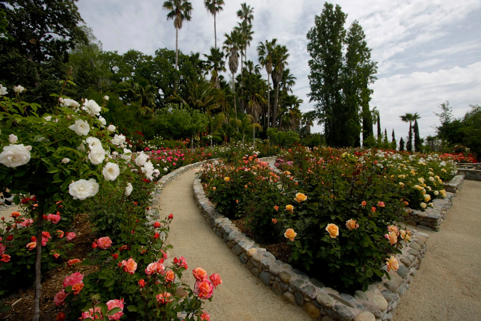 Photo of an expansive traditional sloped full sun formal garden for spring in Sacramento with with flowerbed and gravel.