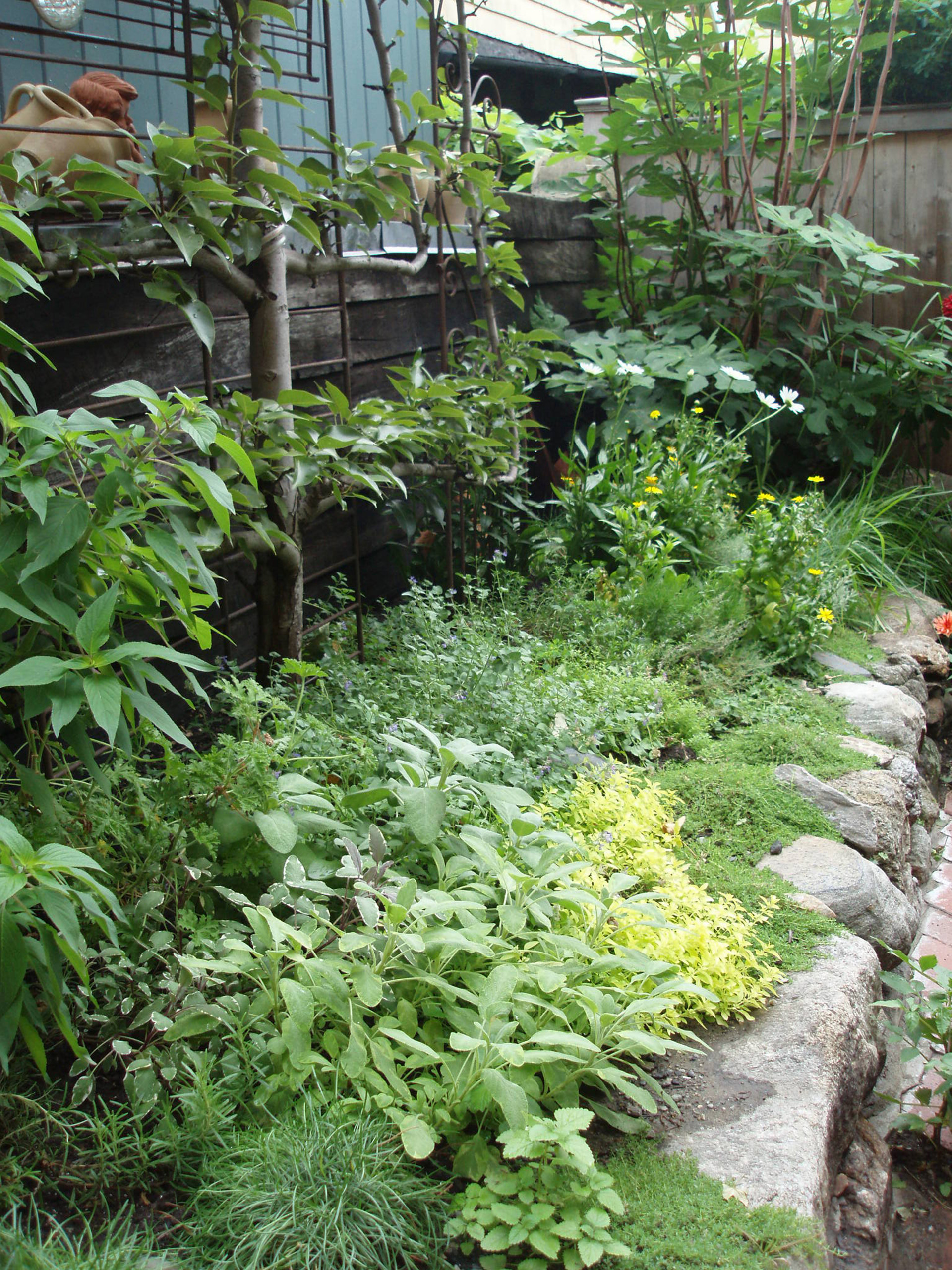 Herb garden in raised stone bed - Mediterranean - Landscape - Boston - by  Natalie DeNormandie | Houzz