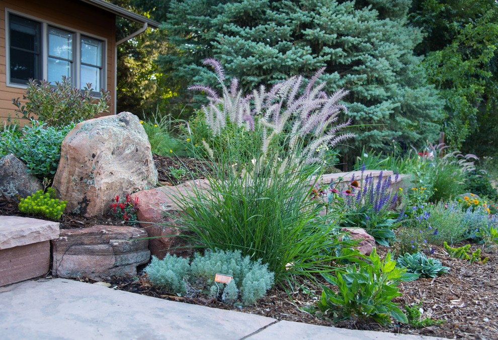 Medium sized contemporary front partial sun garden for summer in Denver with a garden path and mulch.
