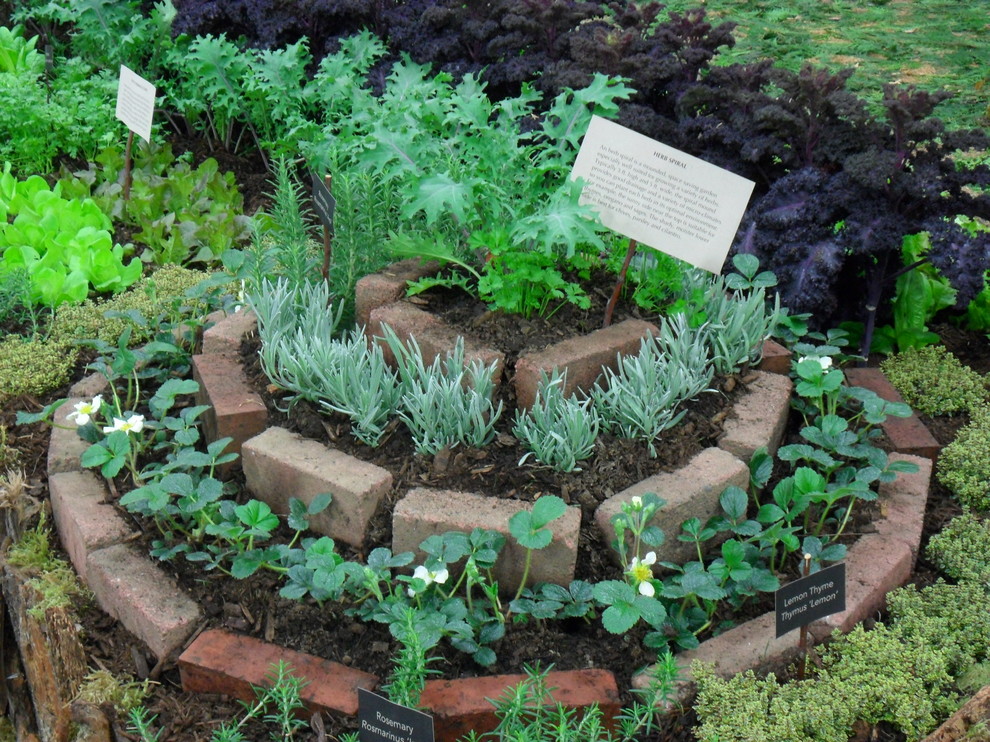 На фото: маленький участок и сад в стиле фьюжн для на участке и в саду