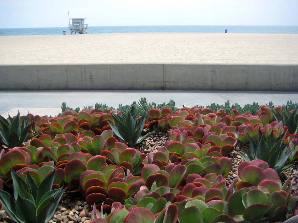 Photo of a modern garden in Los Angeles.
