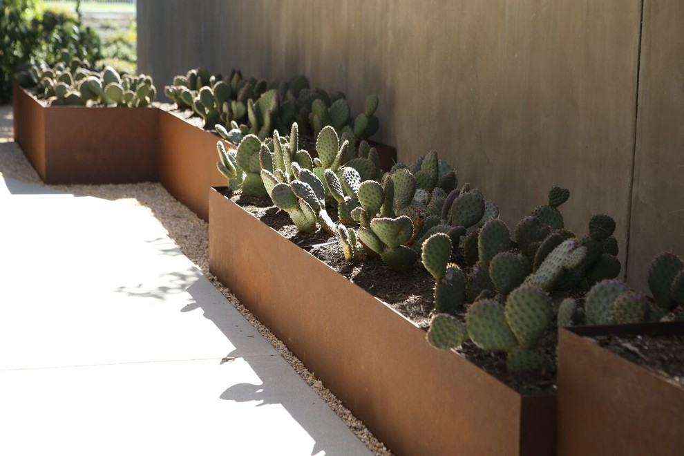 Immagine di un giardino xeriscape minimal esposto a mezz'ombra di medie dimensioni e davanti casa in estate con pacciame e un giardino in vaso