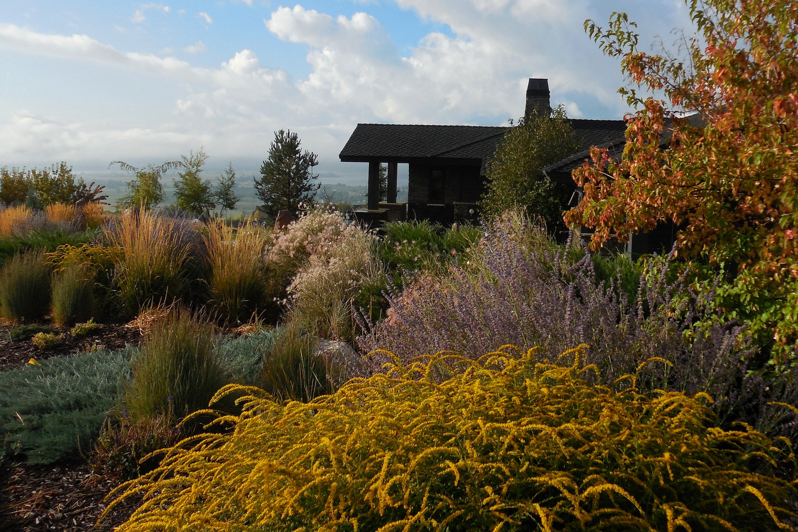 High Desert Meets Mountain Valley Rustic Landscape Salt Lake City By The Ardent Gardener Landscape Design Houzz