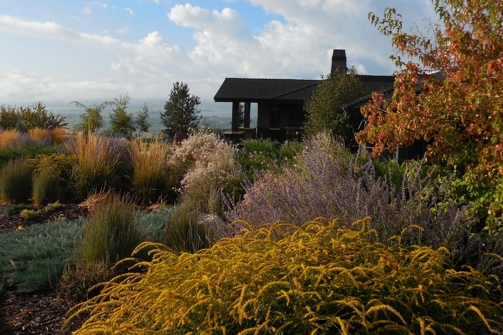 Foto di un grande giardino xeriscape stile rurale esposto in pieno sole davanti casa
