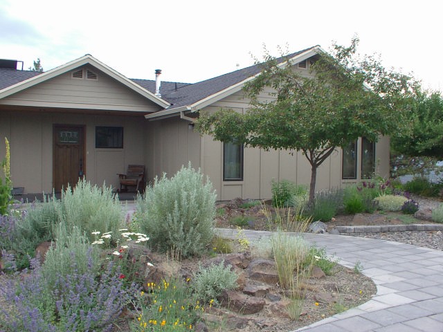 Foto di un piccolo giardino xeriscape classico esposto in pieno sole davanti casa in estate con un ingresso o sentiero e pavimentazioni in cemento