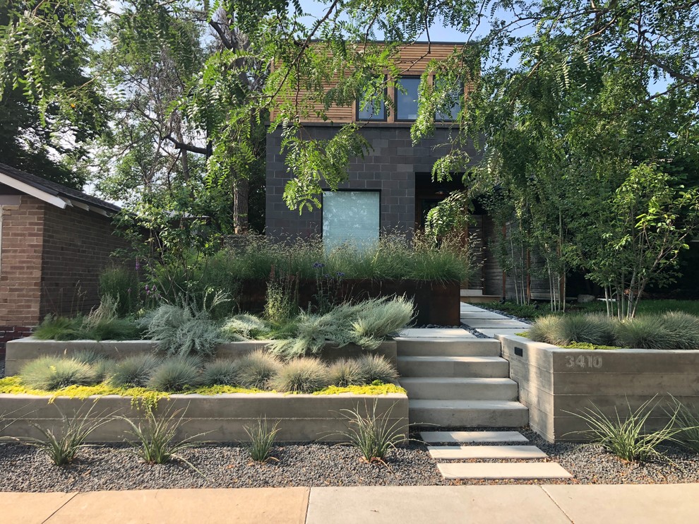 Photo of a contemporary front yard retaining wall landscape in Denver.