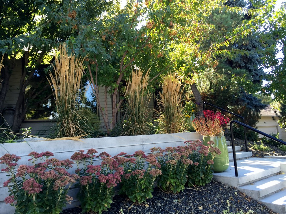 Foto de jardín de secano minimalista de tamaño medio en patio delantero con muro de contención