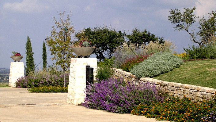 Design ideas for a mediterranean garden in Austin.