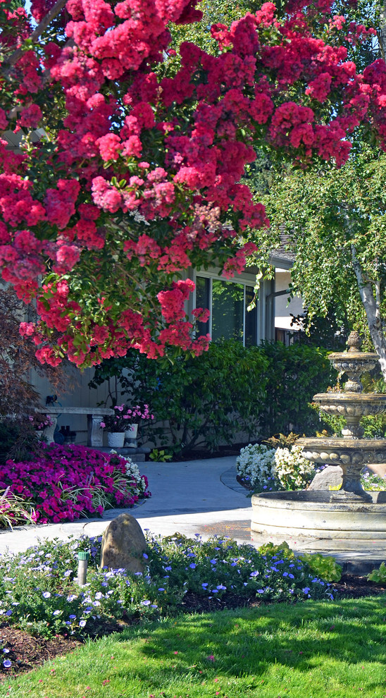 Immagine di un giardino tradizionale esposto in pieno sole di medie dimensioni e davanti casa in estate con fontane e pavimentazioni in cemento