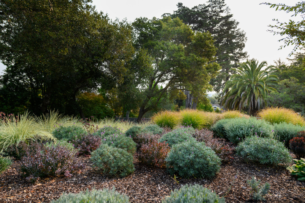 Geräumiger, Halbschattiger Garten hinter dem Haus mit Granitsplitt in San Francisco