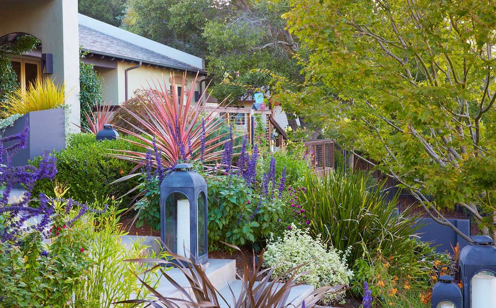 This is an example of a large contemporary shade hillside garden path in San Francisco for fall.