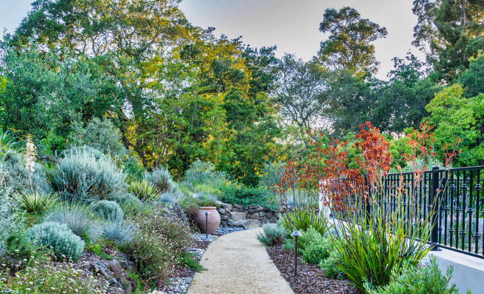 サンフランシスコにあるラグジュアリーな広い地中海スタイルのおしゃれな前庭 (ゼリスケープ、日向、真砂土舗装) の写真