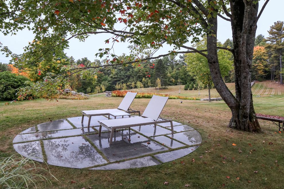 Immagine di un giardino contemporaneo esposto a mezz'ombra di medie dimensioni e dietro casa con pavimentazioni in cemento